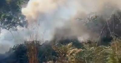 Bombeiros combateram fogo em mato na Ribeira Brava (com vídeo)