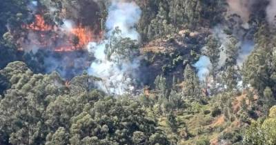 Incêndio no sítio da Furna, Ribeira Brava, mobiliza bombeiros