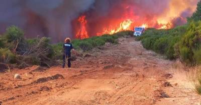 Fogo progride para o Paul da Serra, sendo um dos locais mais preocupantes neste momento.