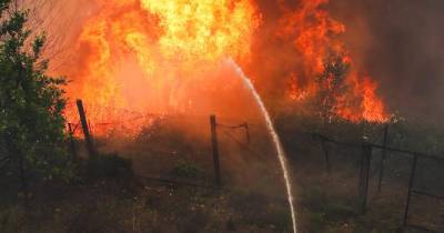 Incêndios: Detido suspeito de atear fogo na Murtosa