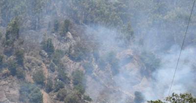 Governo ativa mecanismo europeu e pede dois Canadair para a Madeira