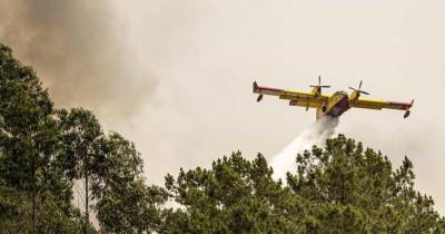 Cerca de 60 concelhos de nove distritos do continente em perigo máximo de incêndio.