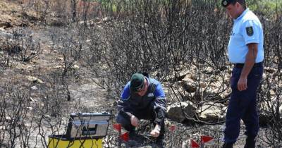 Incêndios: Homem detido na Póvoa de Lanhoso suspeito de atear fogo florestal