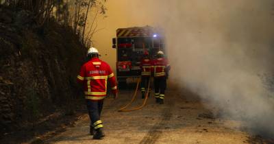 Incêndios: Próximas 24 horas “vão continuar a ser muito complexas”