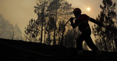 Cerca das 15:15, o incêndio, em área de mato e pinho, estava a ser combatido por 174 operacionais, apoiados por 56 meios.