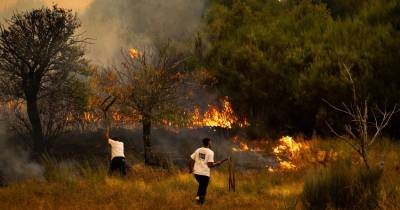 Incêndios: Fogos que lavram desde domingo mobilizaram “maior dispositivo de sempre”