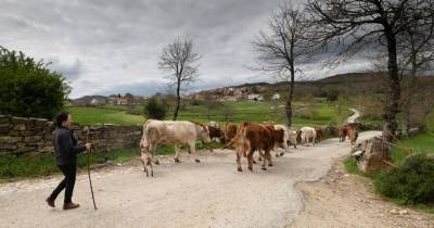 Vila Real é um dos distritos que ficará sob aviso laranja.