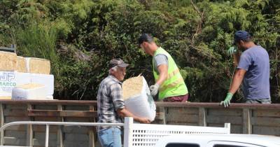 A Câmara comprou 182 sacas de ração para bovinos, 28 sacas para pequenos ruminantes e 560 fardos de palha.