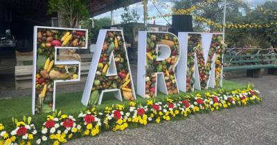 FARM: tudo a postos para o festival que enaltece a agricultura (com fotos)