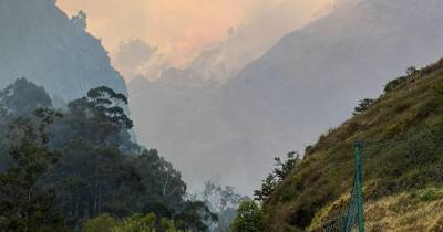 Estrada da Encumeada fechada pela PSP; chamas não param de ganhar terreno nas serras da Serra de Água