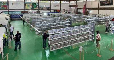 I campeonato internacional ornitológico no Pavilhão dos Trabalhadores