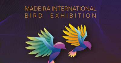 Campeonato Internacional Bird Exhibition em outubro