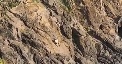 Turistas arriscam-se em abismo na zona da Ponta Gorda (com vídeo)