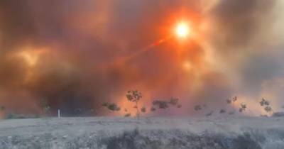 Incêndios: Mais de 100 operacionais e oito meios aéreos combatem fogo em Vinhais