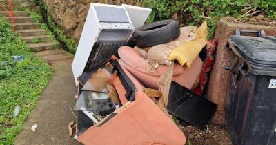 Resíduos na estrada na Ribeira Brava geram queixas