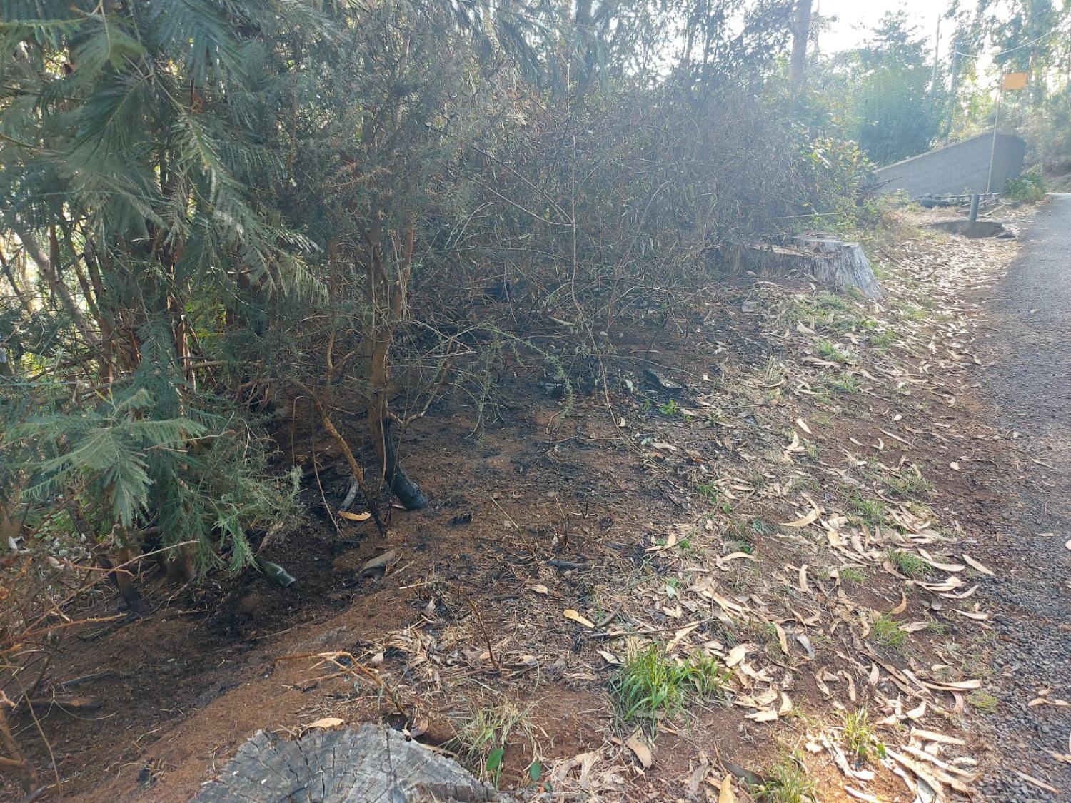 Santa Cruz reporta várias tentativas de atear fogo e louva vigilância dos Sapadores