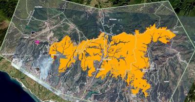 A infografia denota o total de 5002,4 hectares queimados.