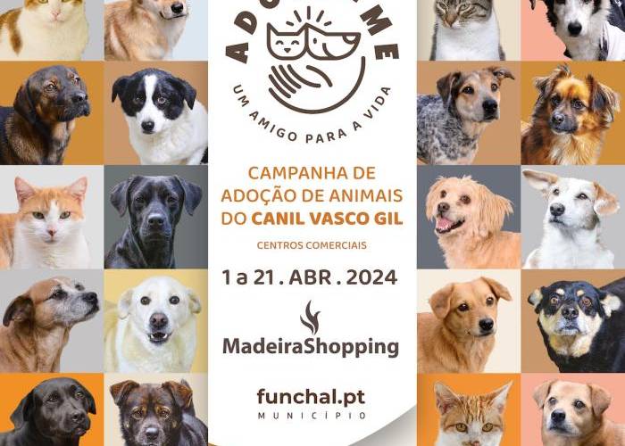 MadeiraShopping promove campanha de adoção de animais