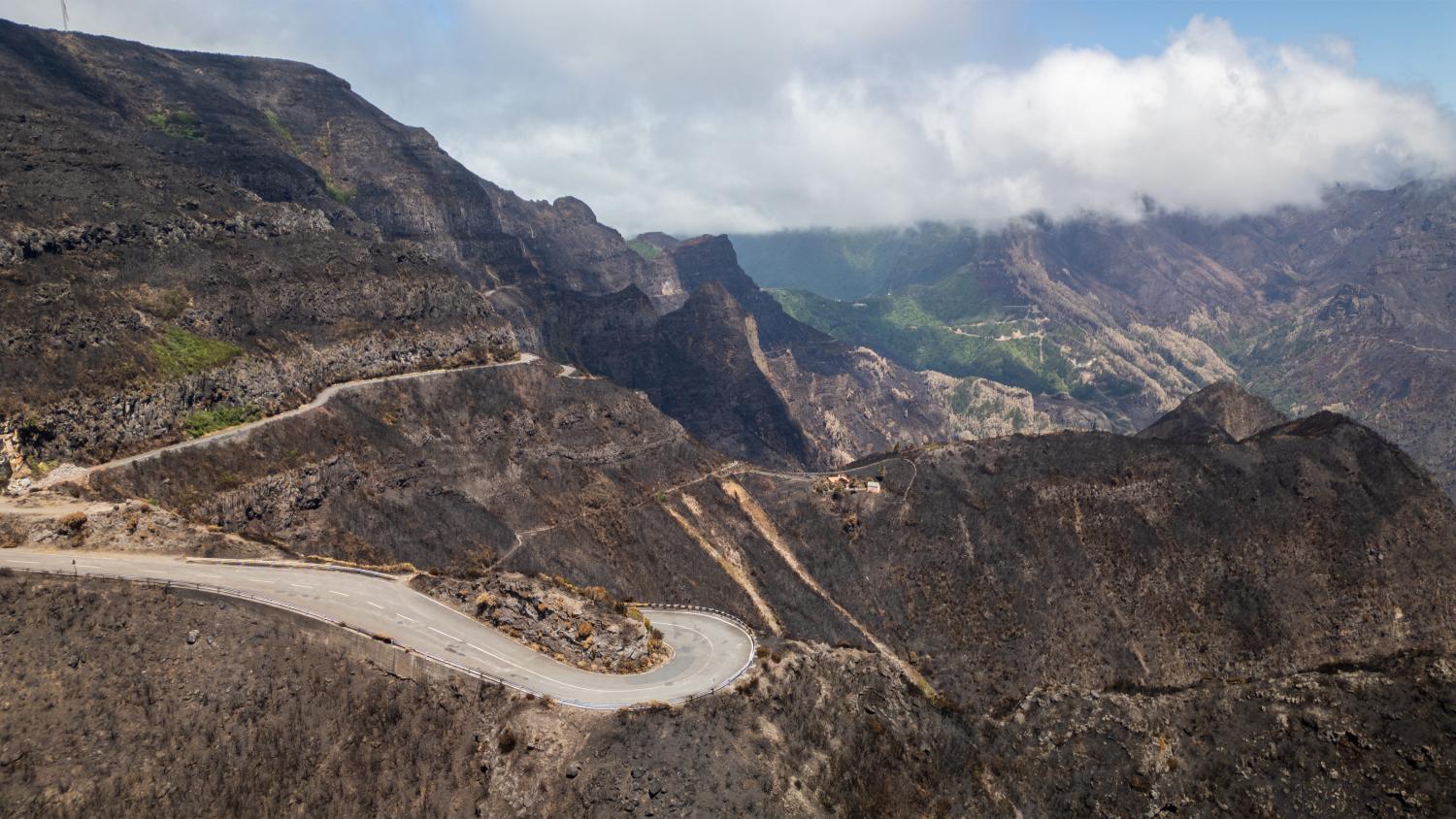 Mais de 43 mil hectares ardidos em 18 anos na Madeira