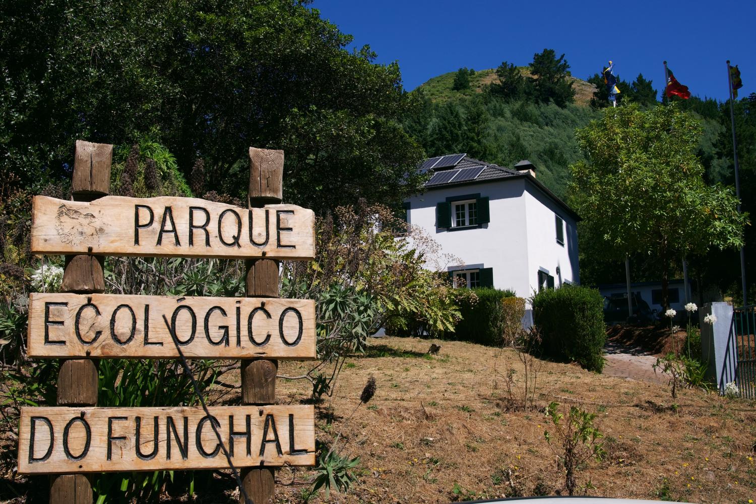 Miradouro do Pico Alto, uma cereja no topo do Parque Ecológico