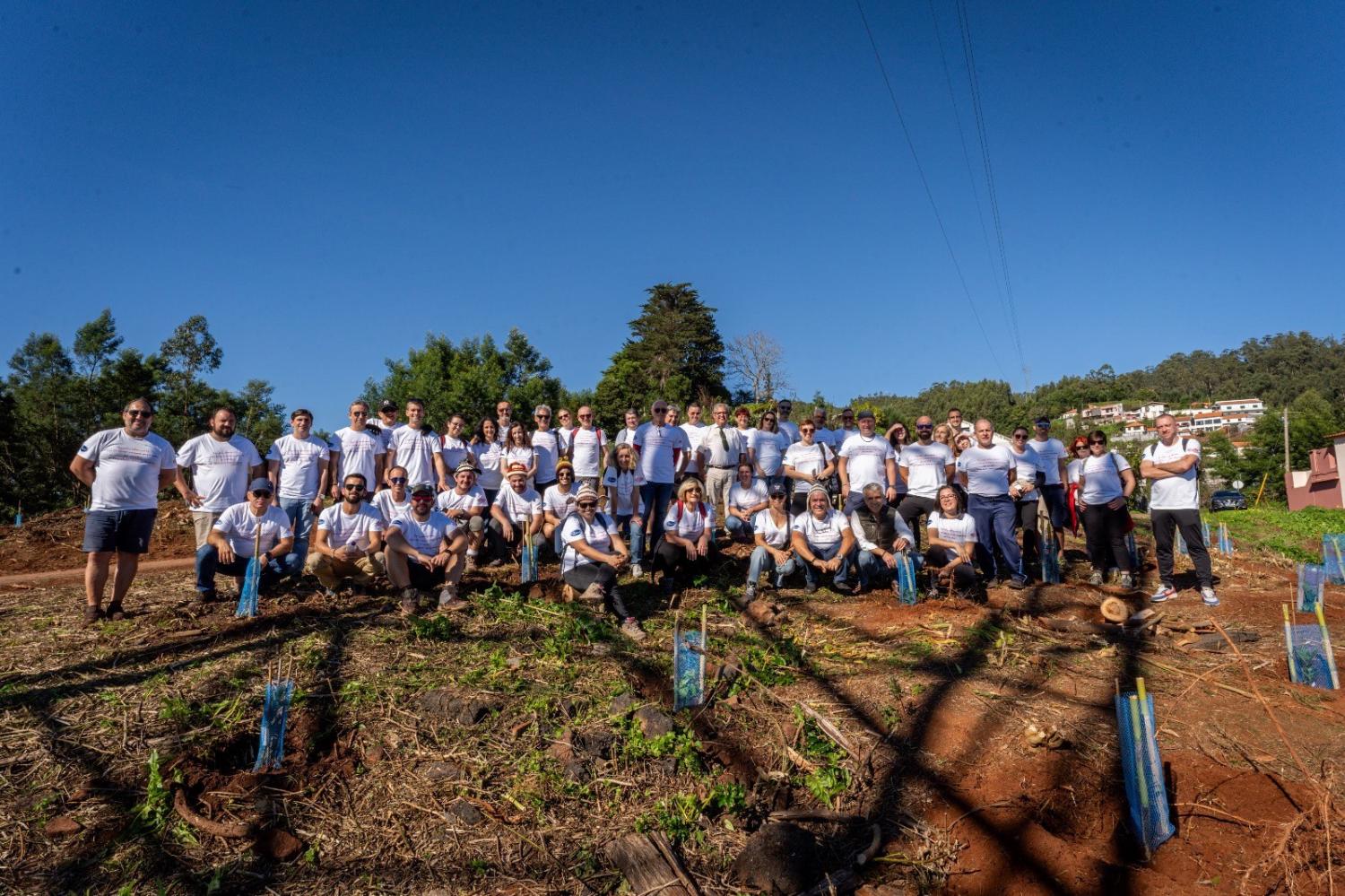 IFCN incentiva empresas a diminuir pegada ecológica com o projeto ‘Carbon offset’