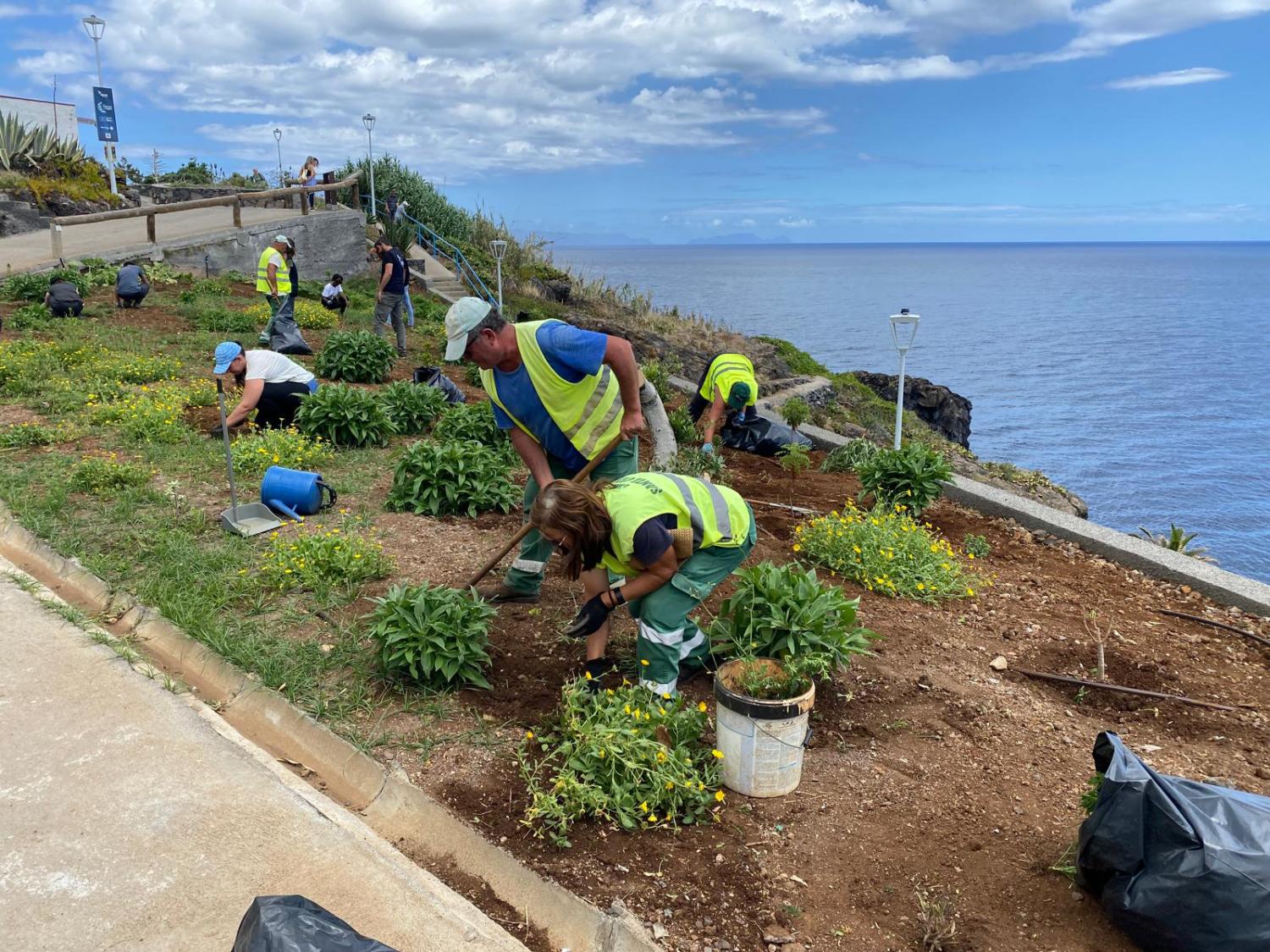 Mais de 50 voluntários já ajudaram a dar nova vida ao Jardim da Ponta da Oliveira