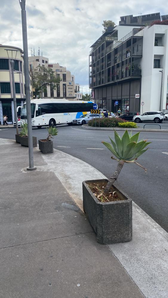 Autocarro e veículo ligeiro envolvidos em acidente junto ao Plaza (com fotos)