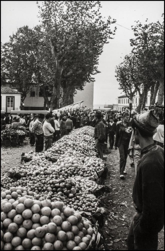 JOÃO ANTÓNIO PESTANA. Mercado de Natal, na Zona Histórica do Funchal. Sem Data (inv. JAP/430. Em depósito na DRABM).