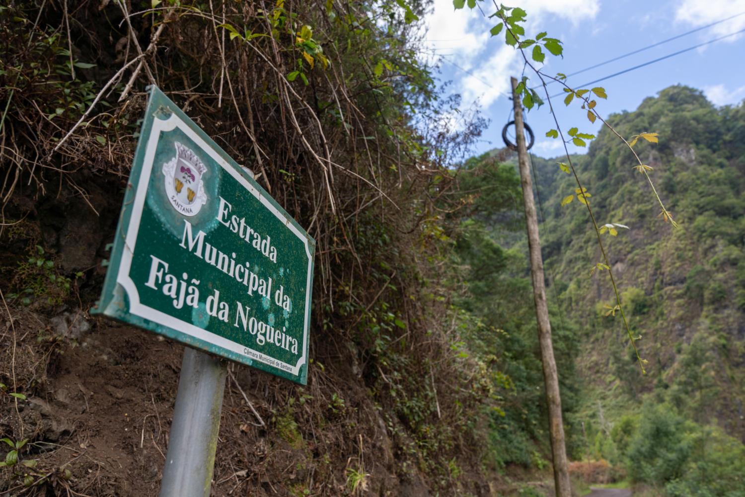 Verde abunda na paisagem que escapou aos incêndios