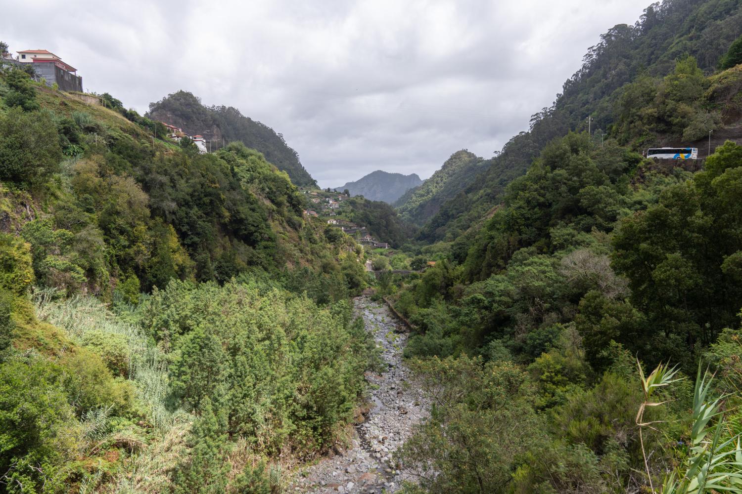 Verde abunda na paisagem que escapou aos incêndios