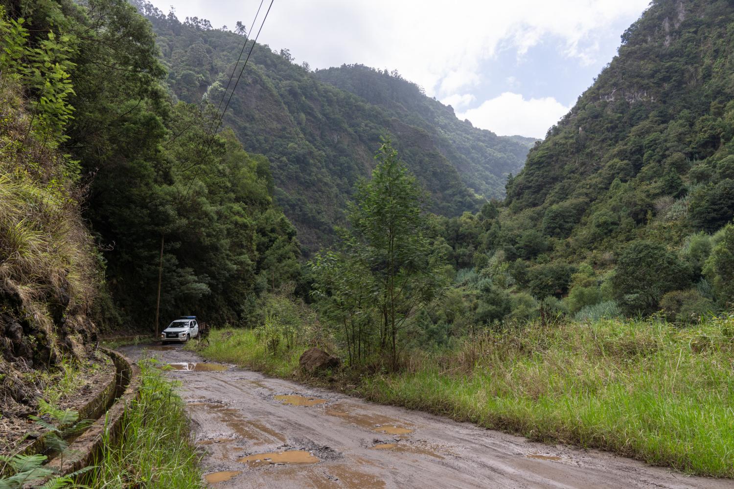 Verde abunda na paisagem que escapou aos incêndios