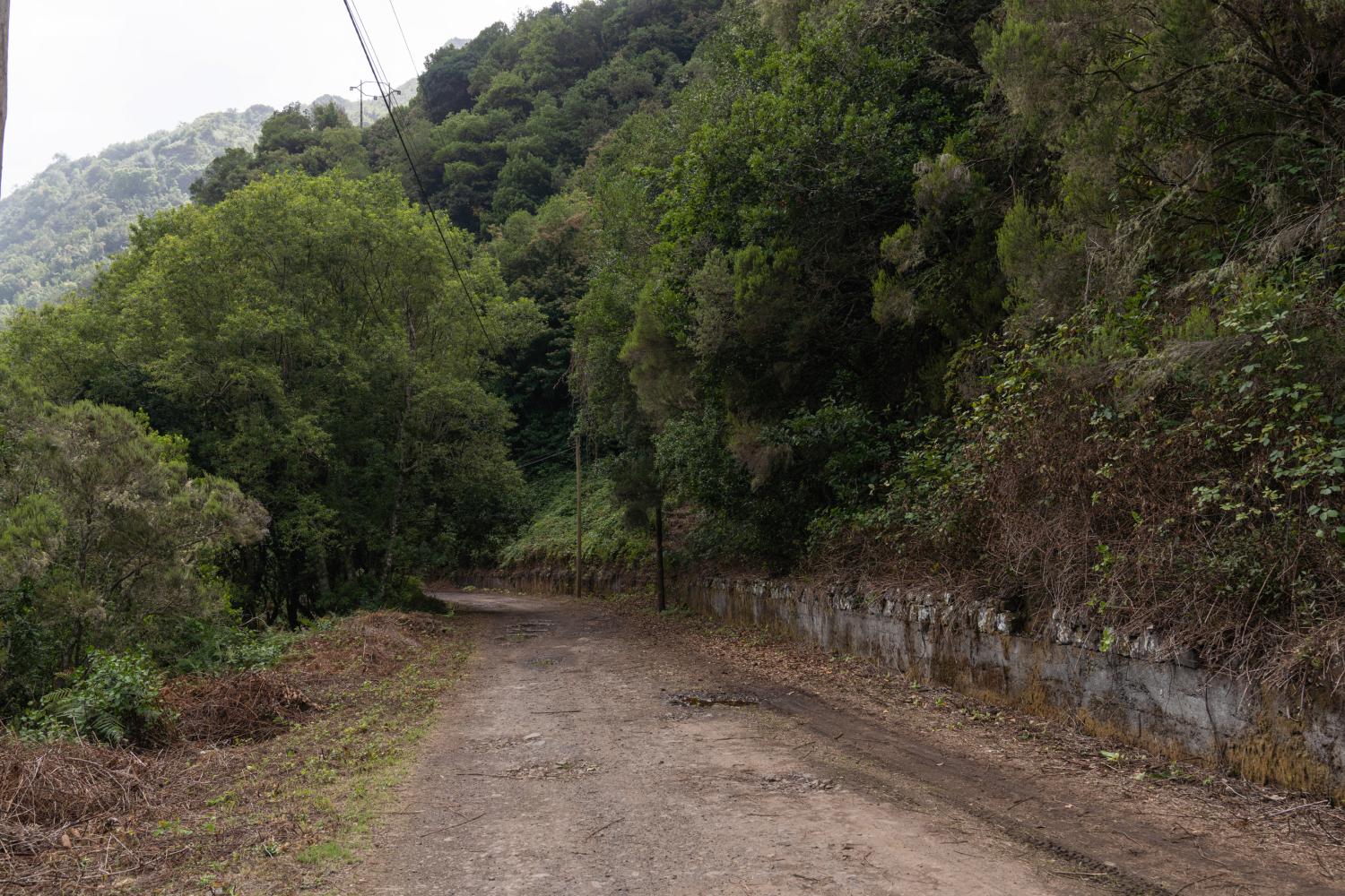 Verde abunda na paisagem que escapou aos incêndios