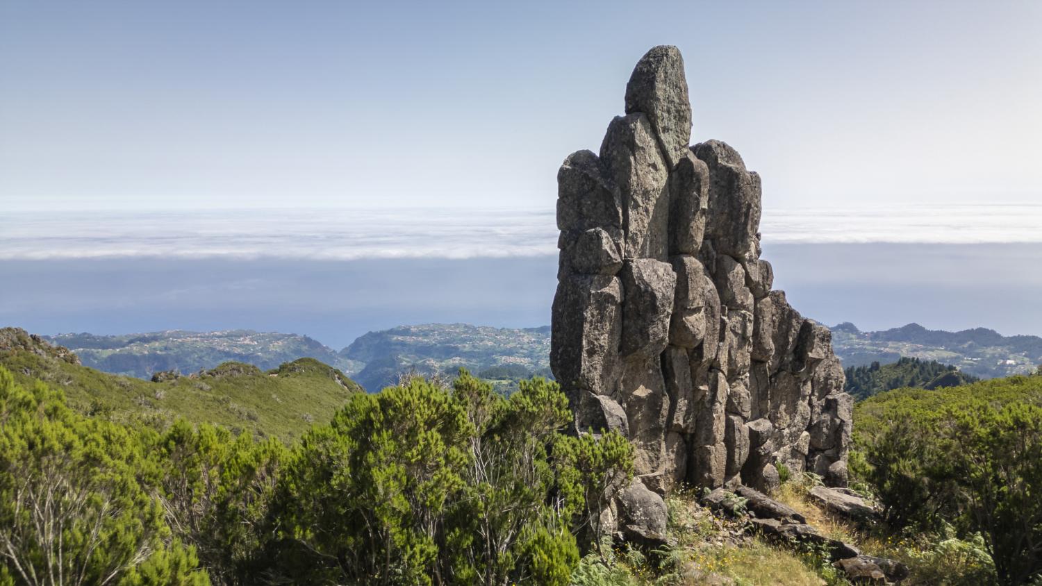 ‘Perdidos e Achados’: Escultura da natureza esculpida em Santana (com fotos)