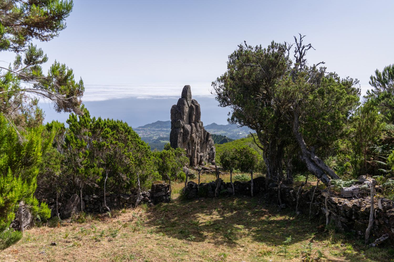 ‘Perdidos e Achados’: Escultura da natureza esculpida em Santana (com fotos)