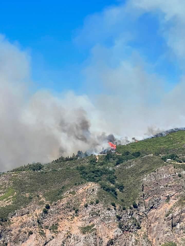 Incêndios continuam sem dar tréguas (com fotos e vídeos)