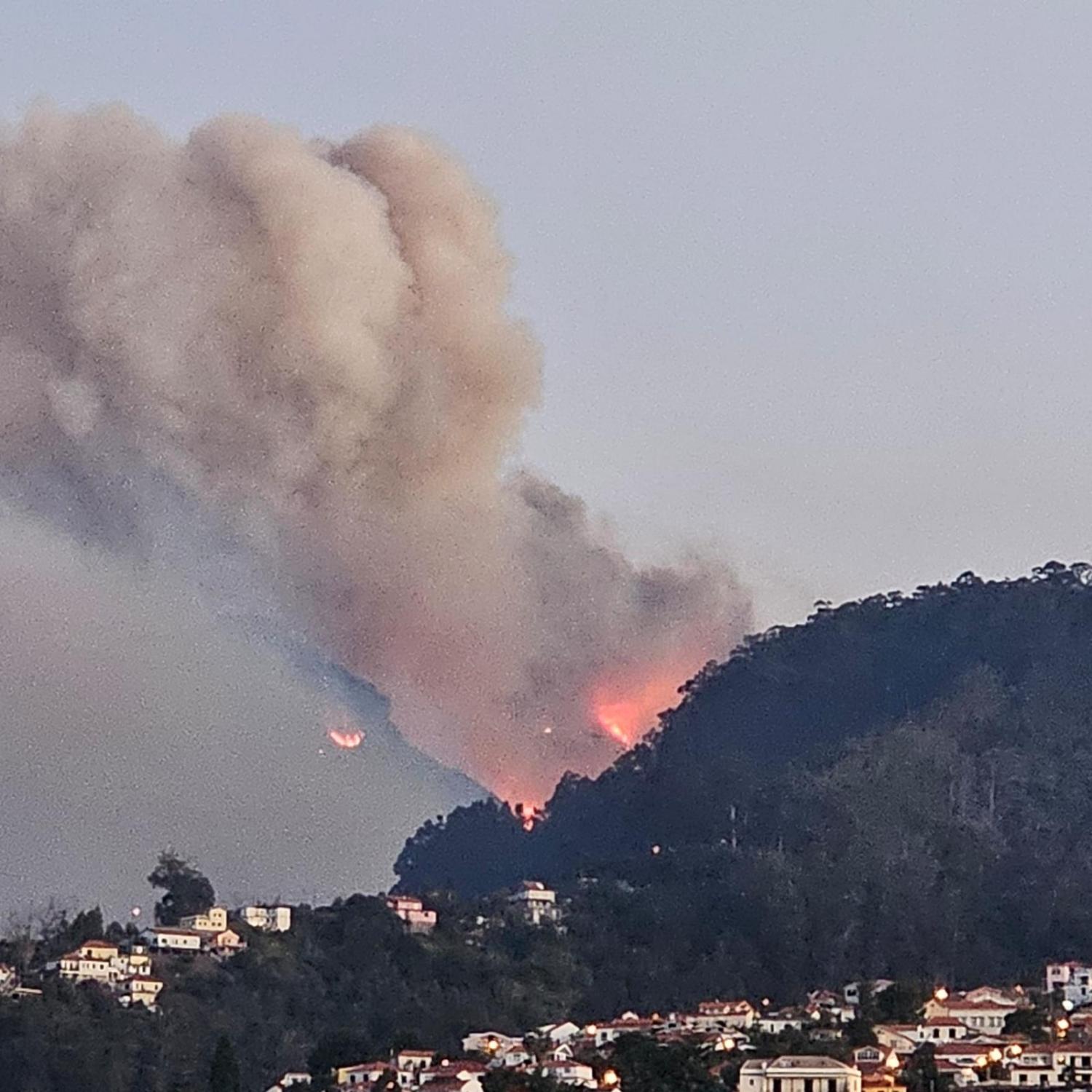 Incêndios: Albuquerque a recusar ajuda da República pode “causar danos irreversíveis na nossa ilha”