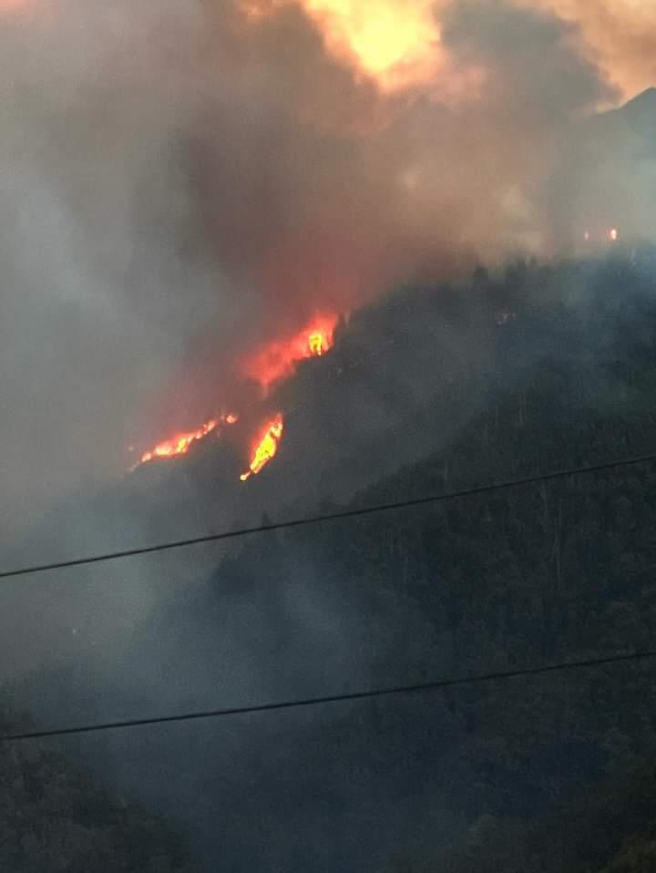 Incêndio no Curral das Freiras preocupa e autarquia pede reforço de meios (com fotos e vídeo)