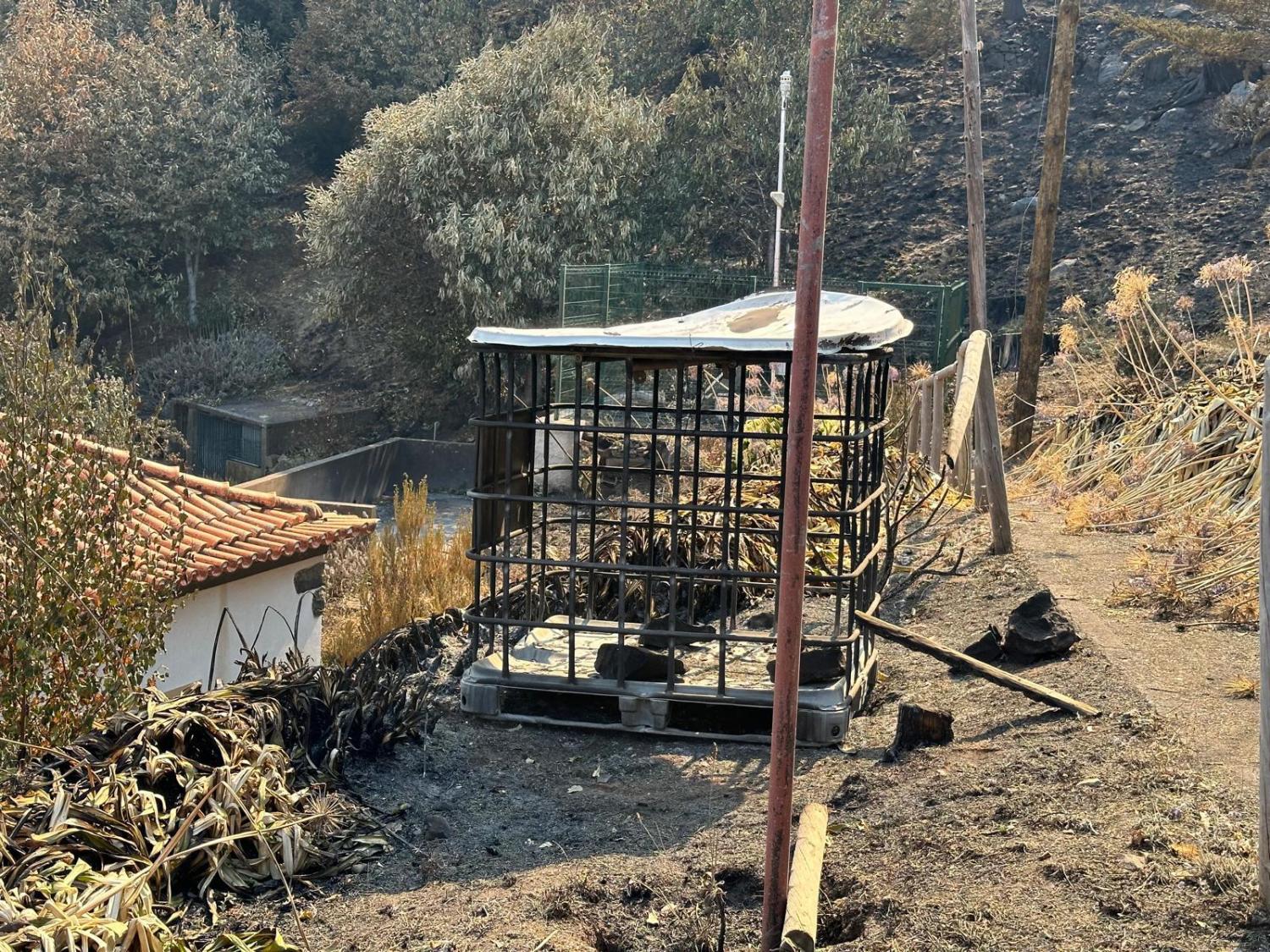 Incêndios: Cenário de destruição mancha Boca da Corrida (com fotos e vídeos)