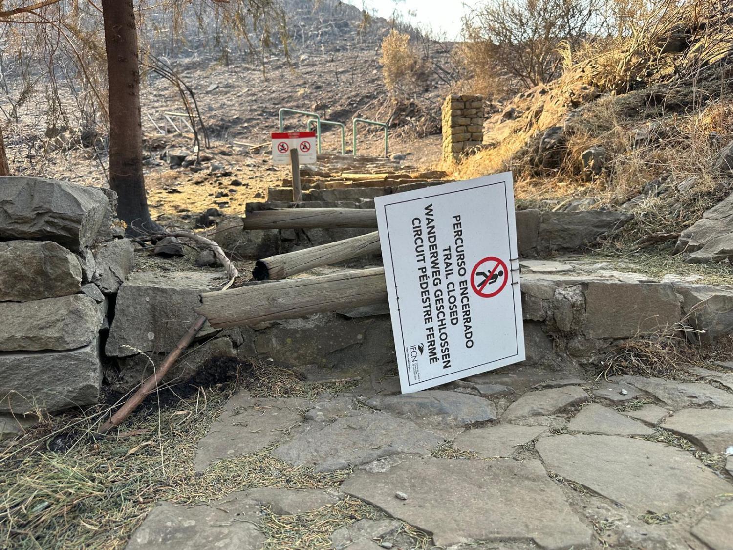 Incêndios: Cenário de destruição mancha Boca da Corrida (com fotos e vídeos)