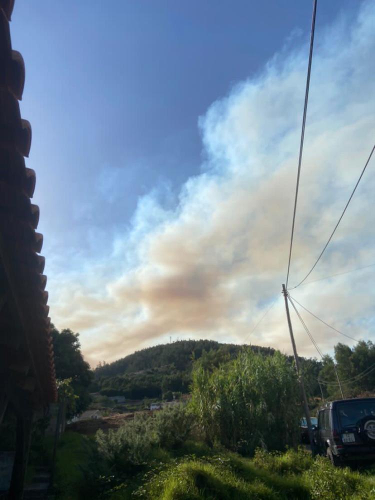 Incêndios: Coluna de fumo gera preocupação na zona este da Madeira (com fotos e vídeo)