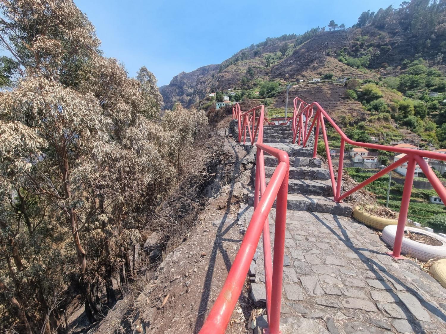 Miradouro do Espigão alvo de recuperação devido ao incêndio