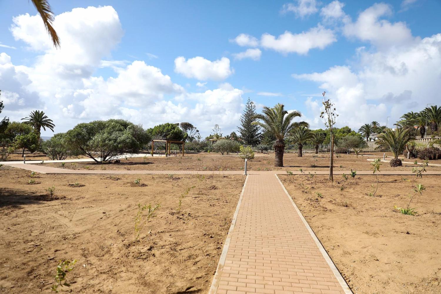 ‘Perdidos e Achados’: Parque de campismo perdido passou a jardim público (com fotos)