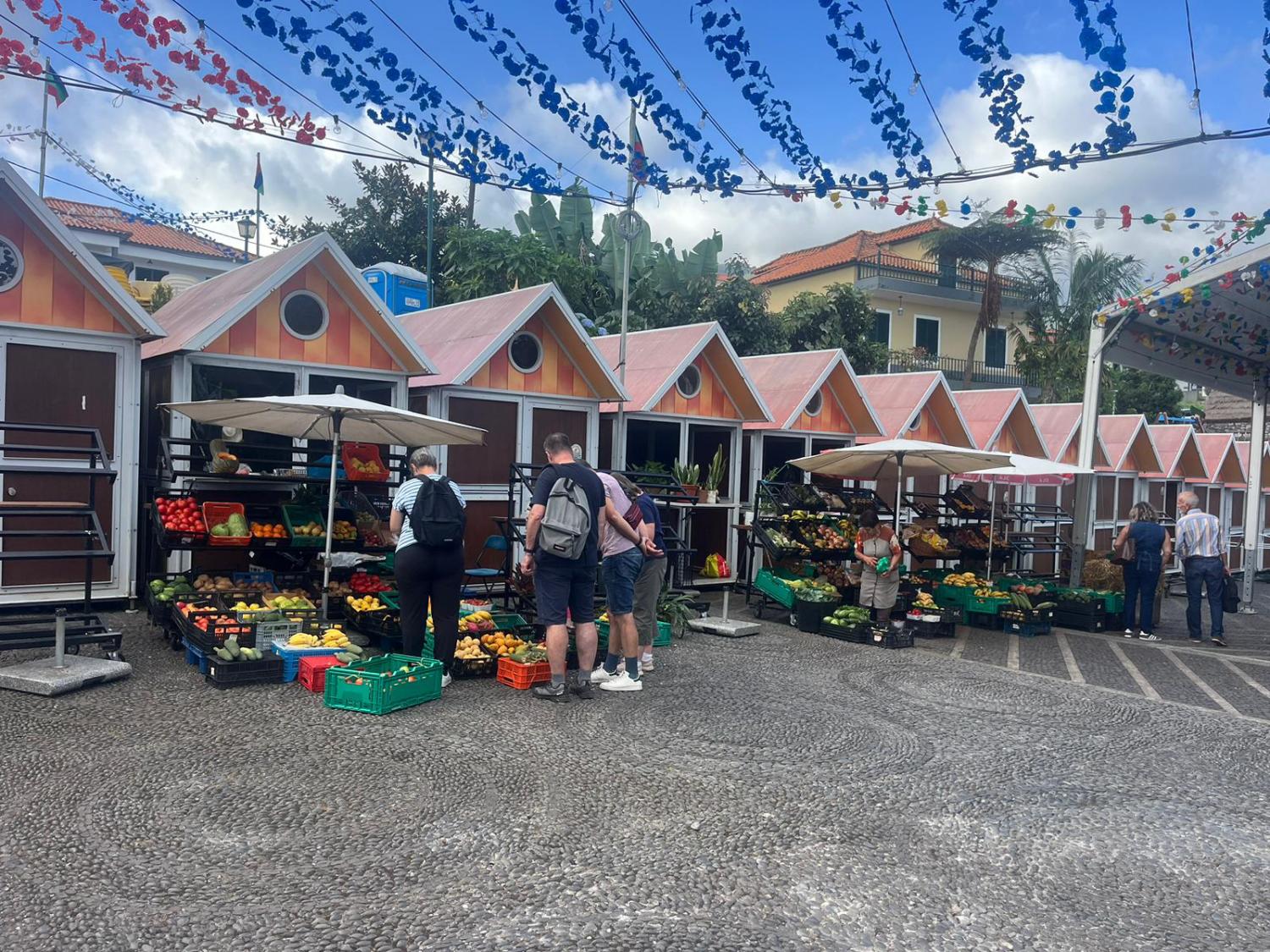 FARM: tudo a postos para o festival que enaltece a agricultura (com fotos)